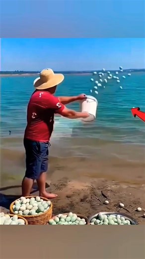 “थाईलैंड में अंडे समंदर में क्यों फेंके जाते हैं? 😳 सच जानकर चौंक जाओगे!” #shorts #shortvideo #facts