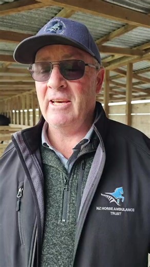 Harness Racing Unhinged on Reels