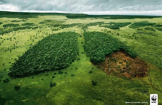 Creative WWF ads that will surprise you with their message