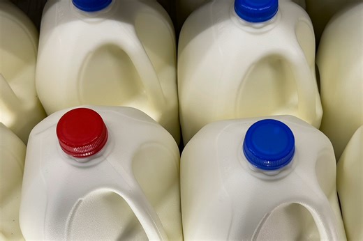 Gardener reveals brilliant hack for reusing old milk jugs: 'That's genius'