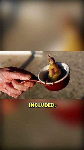 The Shocking Secret Behind Bell Epoque's Ortolan #shorts