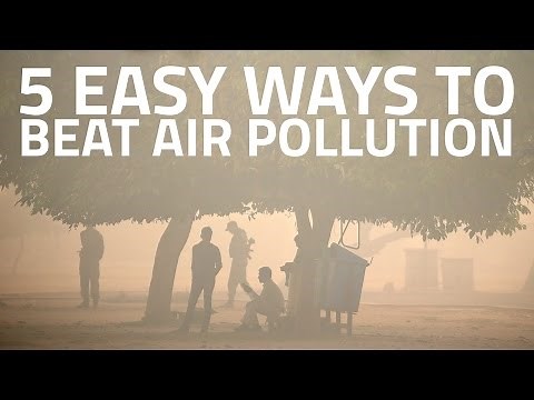 How to Protect Yourself From Air Pollution