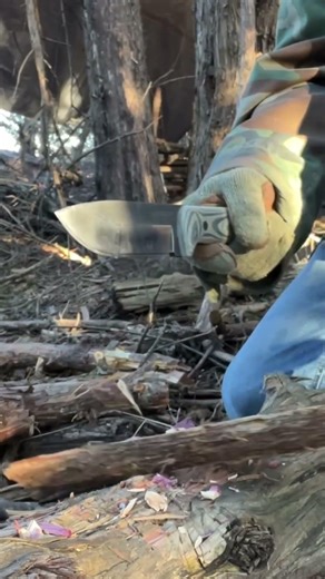 TKC Modded Becker BK2 Chopping #blade #bushcraft #outdoors #outdoorgearreview #knifereview