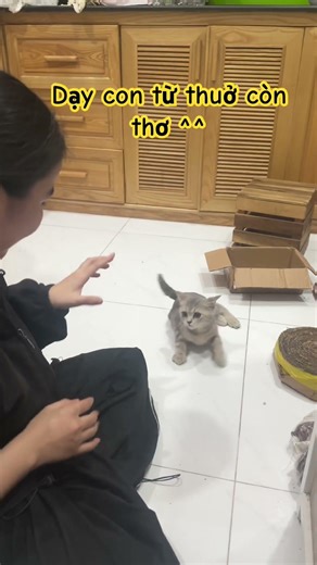 Ở với dì dì cưng như trứng, mẹ lên cái là vỗ bèm bẹp ^^