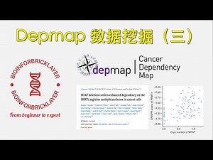 【生信进阶之路｜资源篇04】Depmap 数据库挖掘（三）
