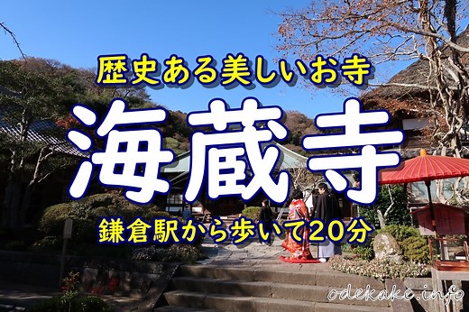 鎌倉「海蔵寺」｜水と花の言い伝えが息づく歴史ある美しいお寺｜おでかけインフォ