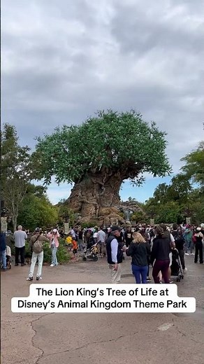 The Lion King’s Tree of Life at Disney’s Animal Kingdom Theme Park #thelionking #animalkingdom