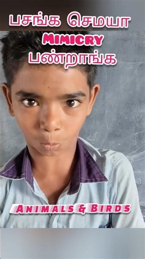 Amazing Mimicry | Animals & Birds Sound