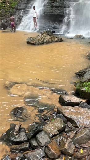 Another snake found in the waterfall | snake