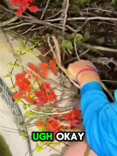 The Ultimate Guide to Bass Fishing Success