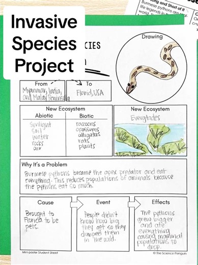Take your study of ecosystem interactions a little deeper by learning about how invasive species can contribute to an unhealthy ecosystem. This is perfect for 5th grade science!