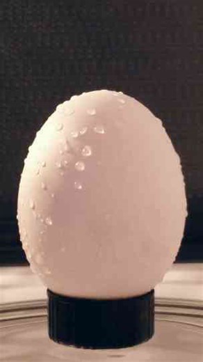 Putting an egg in the microwave