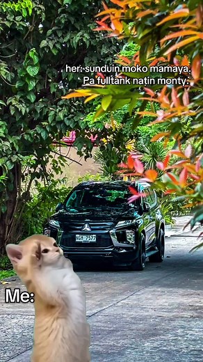 Daily Use of Monty for Full Tank 🚗