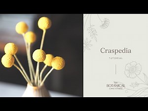Craspedia Billy Ball Sugar Flower Tutorial (Gumpaste / Flower Paste)
