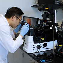 Video: A Microphysiological System to Study Leukocyte-Endothelial Cell Interaction during Inflammation