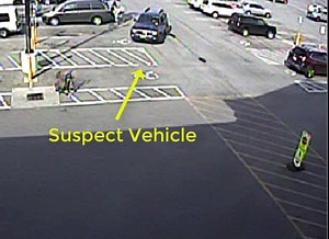 The Town of Hamburg Police Department is looking for the public's assistance in identifying the individual in the accompanying video. This individual is being sought for questioning regarding the theft of a purse from Tops Markets on McKinley Pkwy. If anyone has any information regarding the identity of this individual, please contact Detective Sergeant Timothy Crawford at 648-5118 ext 2622 or our confidential tip line at 648-5111 ext 2847 Case #19-016188 | Town of Hamburg Police