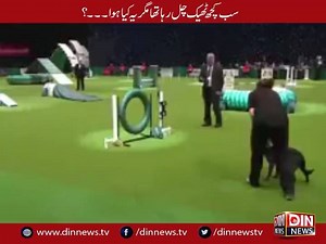 #DinNews | Din News HD