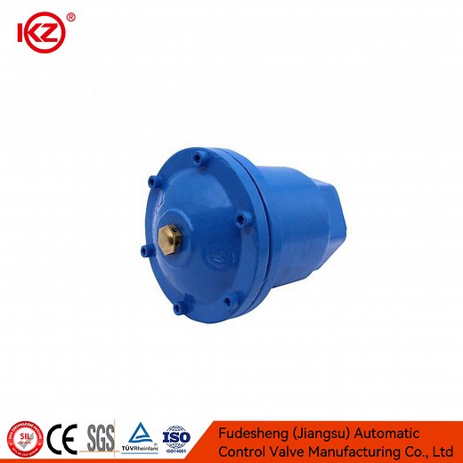 [Hot Item] Flanged Single Port P41X Quick Exhaust Valve