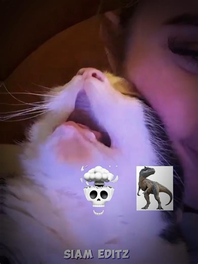 Cats making strange sounds ☠️ #shorts