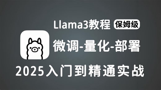 2025吃透Llama3全套视频教程，Llama3微调-量化-部署一条龙！15天学会，让你少走99%弯路【通俗易懂，学完即可就业！】