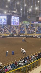 Fallon Taylor on Reels