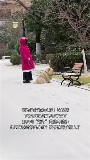 The little Chow Chow froze into a snowman waiting for his best friend. Ivan the Chow Chow is the