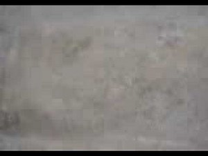 hard core gooning , must watch