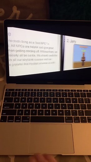 Jerry's Skyblock Adventures in Hypixel