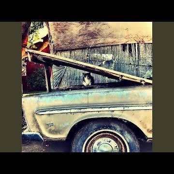 Visual Therapy (2025 Redux)