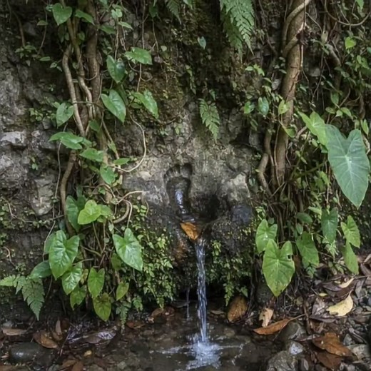 119K views · 2.8K reactions | give away marker Yamashita treasure hunting guide. | Code Reader mws | Facebook