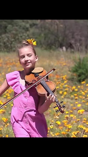 ♥️🌸🌷Sunflower (Post Malone, Swae Lee) - Violin Cover #violin #violon #music #videomusical #streetmusic #streetmusician #trendingsong