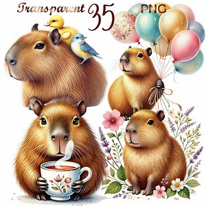 35 PNG Capybara Clipart Bundle, Cute Capybaras Art, Cute Capybara Graphics for Kids, Instant Download Digital Prints, Commercial Use - Etsy