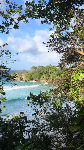 Cooking Adventures in Portland: A Culinary Journey