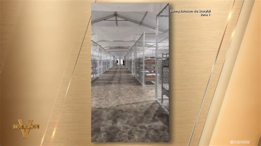 DETAINEES CLAIM 'HORRIBLE' CONDITIONS AT 'ALLIGATOR ALCATRAZ': 'The View' co-hosts weigh in on the controversial detention facility opened by Florida Gov. Ron DeSantis where Pres. Trump is sending undocumented immigrants. | The View