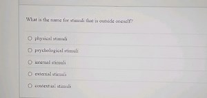 What is the name for stimuli that is outside oneself?physical ... | Filo