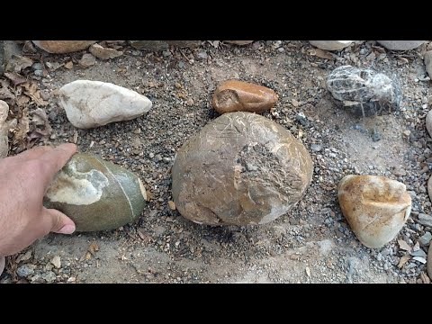 Discover and break beautiful and fascinating stones of the Jasper agate tree and gold 💪💪