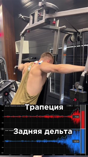 No estás trabajando el deltoide posterior por ESTO. #gym #hombros #fitness #deltoides #musculo idea original: @Trainer_smirnov adaptado en español 💪
