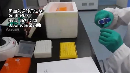 实时荧光定量PCR(qPCR)实验-RNA定量及反转录操作流程