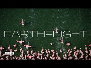 Earthflight | BBC Select