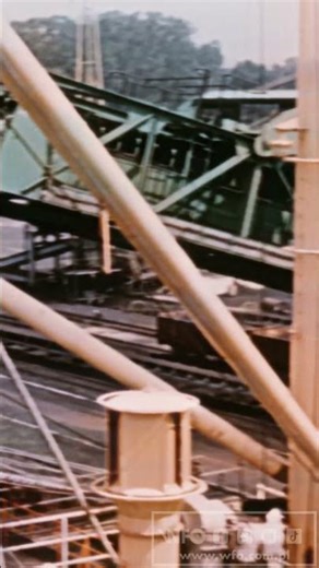 "Świnoport II" (1970) - cały film na naszym kanale