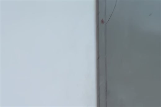 神谷憲侍 on Instagram: "_ _ 2025/6/15〜6/20 日本マクロディフューザー研究所 マレーシアマクロ撮影研修記 No.42 _ _ Attacus atlas Atlas moth ヨナグニサン 与那国蚕 _ _ Attacus atlas 鱗翅目 Lepidoptera ヤママユガ科 Saturniidae ヤママユガ亜科 Saturniinae ヨナグニサン属 Attacus ヨナグニサン A. atlas 出現時期 5～11月 年3回：4月•7月下旬 - 8月上旬•10月中旬 生息地 インド•東南アジア•中国•台湾 日本にかけて幅広く分布 大きさ前翅長 100～140mm 開帳：約350-380㎜ 2025-6-18-8:34撮影 _ _ おそらくこれから先 彼よりも大きく神々しい 昆虫に出逢う事はできない かと思うので横再投稿🎞️ 悔やまれるのは 油断して軽装備の上 焦って望遠で数ショットしか 撮らなかった、他設定も、、、 昆虫撮影にはよくある話だが 今度、遭ったら絶対確保🔐👮‍♂️ P-4 今は使われていない 大きめのエレベーターの扉が おおよ