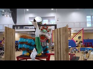ON NGAI MAJESTIC Team A - 2025 USADLDSA Traditional Lion Dance Championship