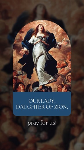 Today we celebrate the Presentation of the Blessed Virgin Mary. No, not Mary presenting Jesus at the temple. But Mary herself was presented as a young girl to be consecrated to God. It underscores the important role she was being prepared to play, fulfilling the prophecies of the Old Testament. Let's look at Mary's different titles to see how this is the case. | St. John the Baptist Catholic Church | Facebook