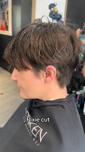 Silvia Cappelli on Instagram: "Il PIXIE CUT è un taglio corto, audace e versatile, caratterizzato da capelli cortissimi ai lati e sulla nuca e leggermente più lunghi nella parte superiore. È un taglio deciso e femminile che valorizza il volto e mette in risalto i lineamenti. #hair #pixie #pixiecut #maisonsilvia #"