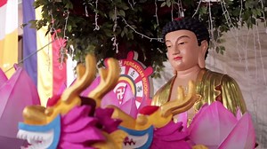One of the biggest Buddhist celebrations in Penang, celebrate Wesak Day with us on Wednesday (10 May). Grand Procession starts at 6pm from the 馬佛總檳州分會 Malaysian Buddhist Association Penang Branch, 182, Jalan Burma. (GPS Coordinates: 5.425289, 100.319426) For further details: http://mypenang.gov.my/itemfull-8148-wesak_day_celebration.pgt | Penang Global Tourism