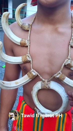 Boaya - Warrior's Necklace made of boar tusks. 🗓 Baguio Gong Festival 2025 📍Camp John Hay, Baguio City "Narpuwan: Living our Culture, Honoring our Roots in the Digital Era" #Narpuwan #BaguioGongFestival #GongFest2025 #IPEACE #TawidtiIgorotPH | Tawid ti Igorot PH