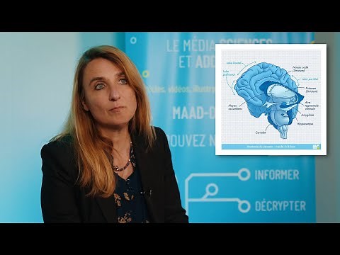 Comprendre les addictions avec la neurobiologie
