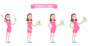 Your pregnancy: what to expect over the next nine months - Netmums