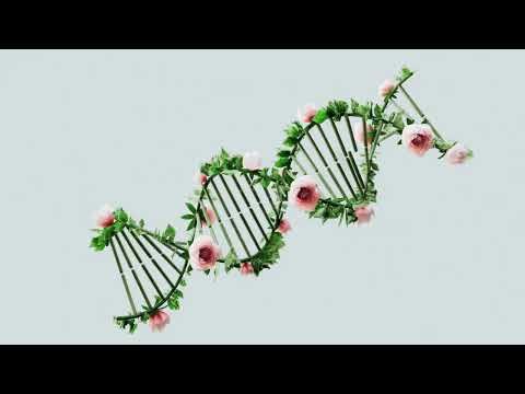 We're Probably Living in a Simulation | Here's Why