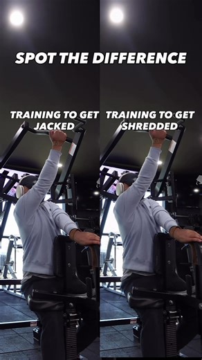 Training Techniques: Cutting vs Bulking Explained